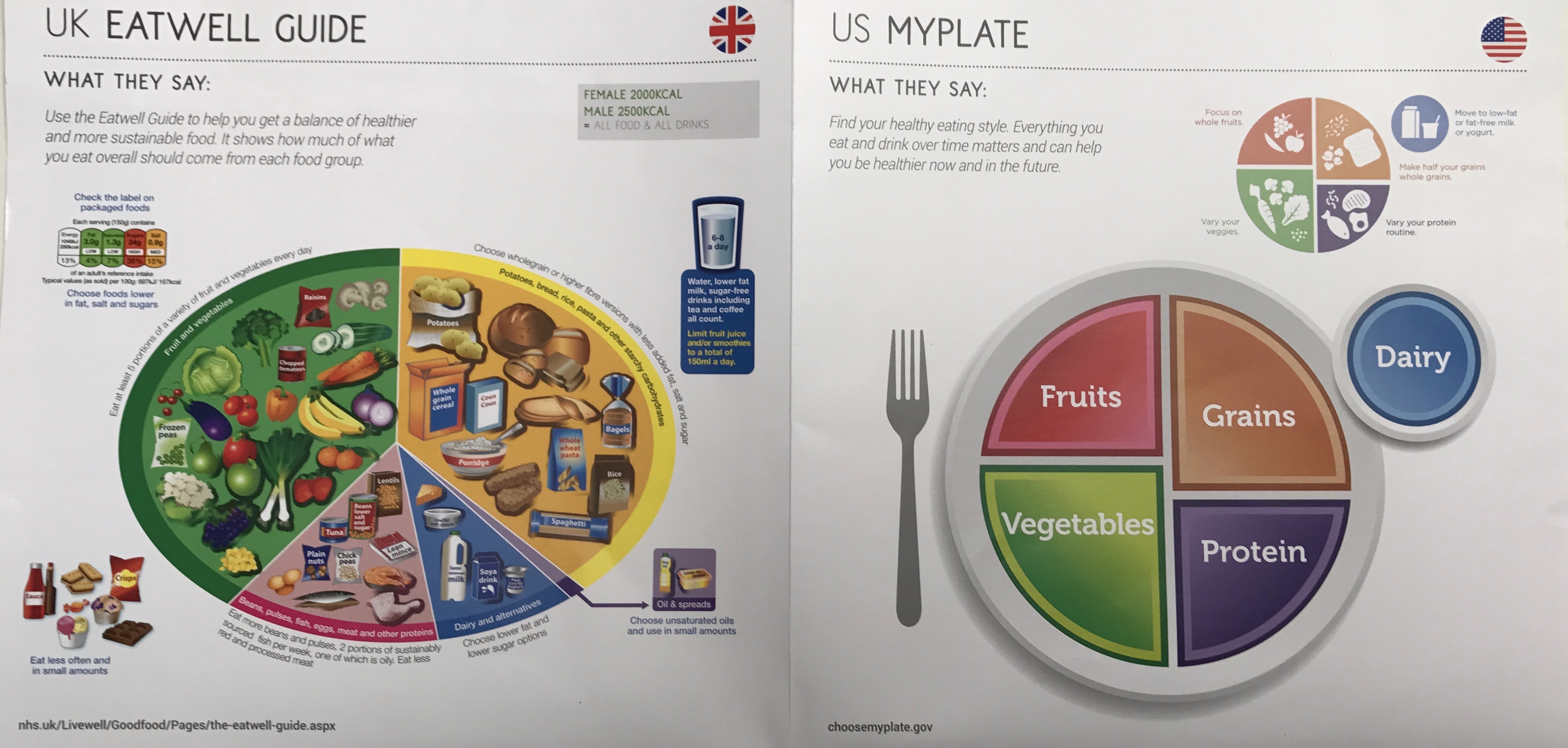 Healthy Plate Guidelines