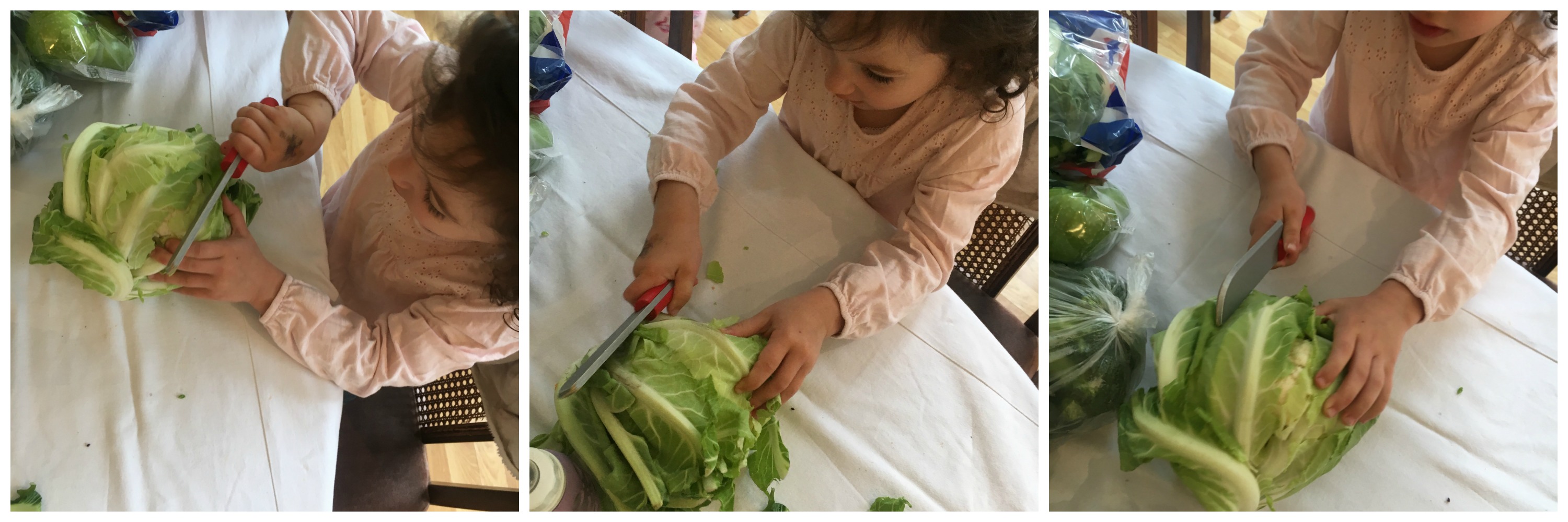 Raising kids who LOVE heatlhy food
