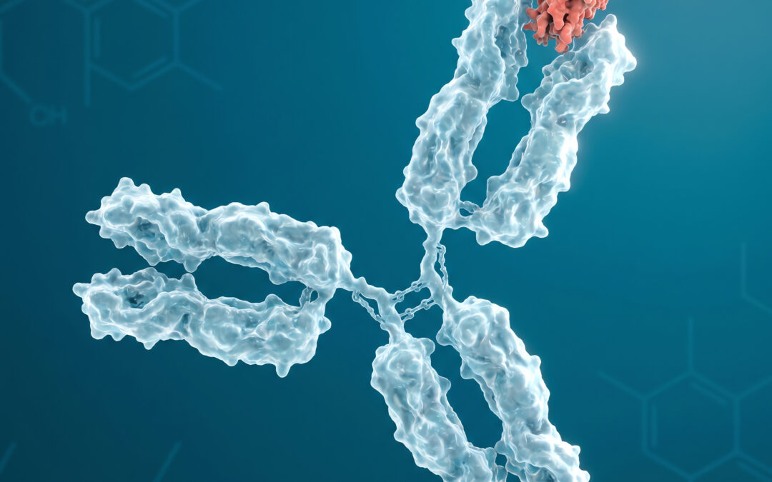 Food-Specific IgG Antibodies: Tolerance, Reactivity, and What the Science Actually Says