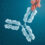Food-Specific IgG Antibodies: Tolerance, Reactivity, and What the Science Actually Says